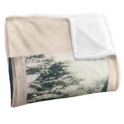 Pink Floyd Ummagumma Silky Supersoft Blanket Beige/multicoloured (One Size) - thumbnail 3