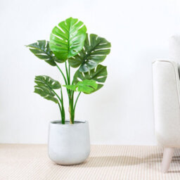 MCC Direct Artificial Plant Monstera Tree Indoor House Plant 80Cm - thumbnail 1