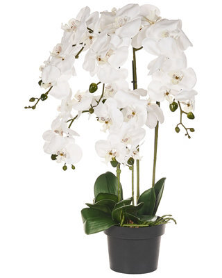 Wyld And Coco Orchidea Faux Orchid Plant 63Cm White Blooms Green Foliage With Cement Base - image 1
