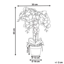 Wyld And Coco Orchidea Faux Orchid Plant 63Cm White Blooms Green Foliage With Cement Base - thumbnail 4