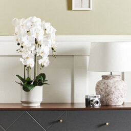 Wyld And Coco Orchidea Faux Orchid Plant 63Cm White Blooms Green Foliage With Cement Base - thumbnail 2