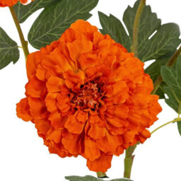 Wyld Haus Set Of 3 Orange African Marigold Large Artificial Flower Sprays - thumbnail 3