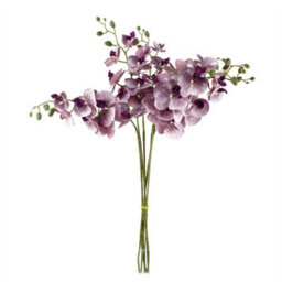 Leaf Pack Of 6 X 100Cm Artificial Phalaenopsis Orchid Purple Stem - 42 Flowers - thumbnail 2