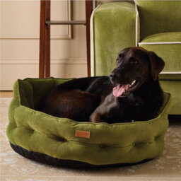 Joules Luxury Chesterfield Dog Bed - Khaki - thumbnail 3