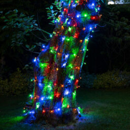 Christmas Tree World Crownvine 50M Fairy Lights Starter Set - 500 Leds Multicolour - Black Rubber Cable - thumbnail 5