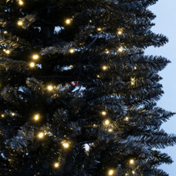 Christmas Tree World The Pre-Lit 5Ft/150Cm Black Italian Pencilimo Christmas Tree - thumbnail 5