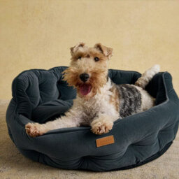 Joules Chesterfield Dog Bed, Grey, Soft Velvet Fabric, Thickly Padded, Machine Washable, 50Cm Diameter, Small - thumbnail 6