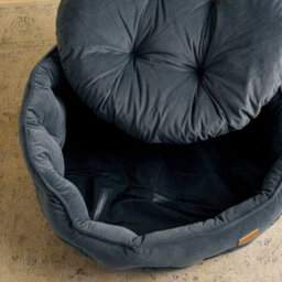 Joules Chesterfield Dog Bed, Grey, Soft Velvet Fabric, Thickly Padded, Machine Washable, 50Cm Diameter, Small - thumbnail 5