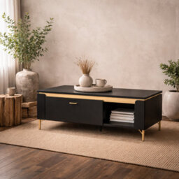 Wyld Haus Marslet Narrow Coffee Table - Matt Black With Gold Accents, 1 Drawer - thumbnail 1