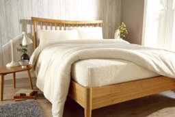 Original Teddy Fitted Sheet In Cream - Single