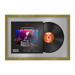 "AK Frames 25X17"" Gold Classic Vinyl Record Frame With Silver Mount For 12 Inch Lp Cover & Disc - Overlapped Design"