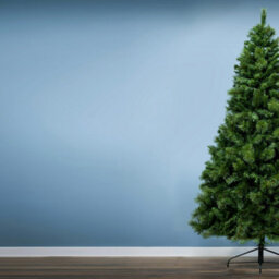 Christmas Tree World The 7Ft/210Cm Majestic Dew Pine Christmas Tree - thumbnail 4