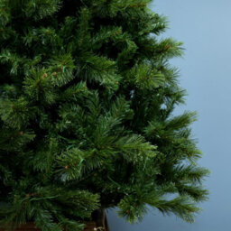 Christmas Tree World The 7Ft/210Cm Majestic Dew Pine Christmas Tree - thumbnail 3