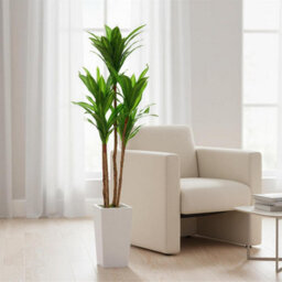 Artificial Plant 4.8Ft Faux Dracaena Tree, Fake Potted Yucca Tree With Wood Trunk & White Tall Planter - thumbnail 6
