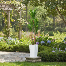 Artificial Plant 4.8Ft Faux Dracaena Tree, Fake Potted Yucca Tree With Wood Trunk & White Tall Planter - thumbnail 3