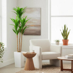 Artificial Plant 4.8Ft Faux Dracaena Tree, Fake Potted Yucca Tree With Wood Trunk & White Tall Planter - thumbnail 4