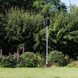 Buttercup Farm Pole Mounted Roost Maternity Double Box With 4M Pole - Plywood/ceramic - L13 X W26 X H49 Cm - thumbnail 4