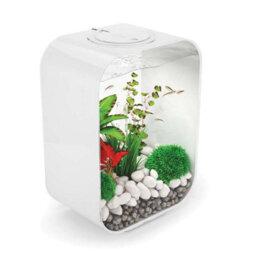 Oase Biorb Life 15L White Aquarium Fish Tank With Multi Colour Led Lighting - thumbnail 3
