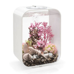 Oase Biorb Life 15L White Aquarium Fish Tank With Multi Colour Led Lighting - thumbnail 2