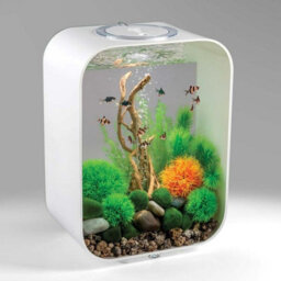 Oase Biorb Life 15L White Aquarium Fish Tank With Multi Colour Led Lighting - thumbnail 4