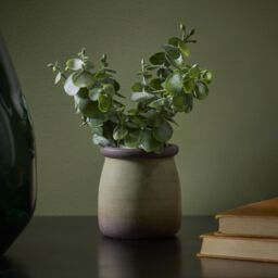 Candlelight Green 18Cm Chinese Money Artificial Plant In Green Ceramic Pot - thumbnail 4