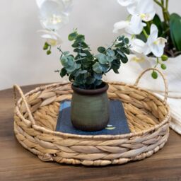 Candlelight Green 18Cm Chinese Money Artificial Plant In Green Ceramic Pot - thumbnail 2