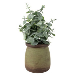 Candlelight Green 18Cm Chinese Money Artificial Plant In Green Ceramic Pot