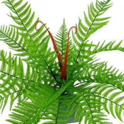 Leaf 6 X 60Cm Artificial Bushy Dixie Wood Fern Dark Green Plant - thumbnail 4