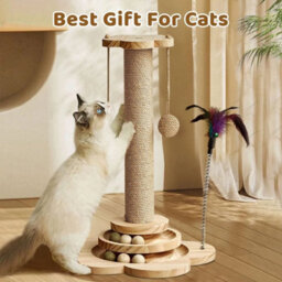 Cat Scratching Post Kitten Scratching Post Cat Climbing Frame Indoor - thumbnail 5