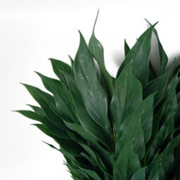 Pack Of 6 X 100Cm Artificial Plastic Decorative Leaf Spray - thumbnail 5