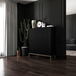 Heze Furniture Elpis Glamour Sideboard Push-To-Open Cabinet - Black Matt / Golden Frame - thumbnail 4