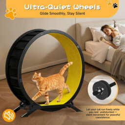 Gtplayer Cat Wheel 90 Cm Metal Large Cats Exercise Running Wheel For Indoor Cats With Teaser Removable Carpet Cat Treadmill,yellow - thumbnail 8