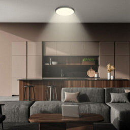 Briloner Black Led Ceiling Light Round Panel Hallway Living Room Lamp 33Cm, 17,5W, 2400Lm - thumbnail 5