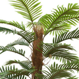 Thehotsale 160Cm Artificial Tropical Palm Tree Potted Plant For Indoor Decoration - thumbnail 6