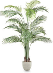 Artificial Palm Tree Maia Shop Decorative Artificial Plant 180X115 Cm Home Decor - thumbnail 1