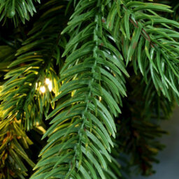 Christmas Tree World The Pre-Lit 60Cm Ultra Mountain Pine Wreath - thumbnail 3