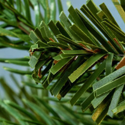 Christmas Tree World The Pre-Lit 60Cm Ultra Mountain Pine Wreath - thumbnail 4