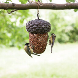 Fallen Fruits Iron Acorn Bird Feeder - thumbnail 3