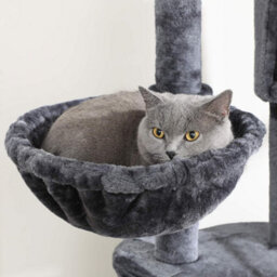 Feandrea Floor-To-Ceiling Cat Tree, 2.4-2.6 M, Cat Tower, Smoky Grey - thumbnail 6