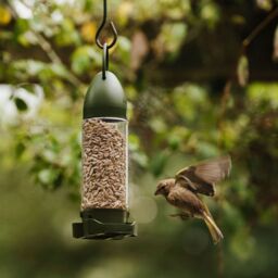 Peckish Sunflower Heart Bird Feeder - thumbnail 2