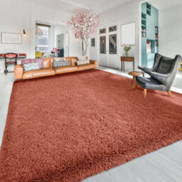 Ameha Area Rugs Living Room Large 160X230 Cm Rust Rugs For Bedroom Dinning Room Super Soft Non Slip Rug Modern Carpets For Bedside - thumbnail 3