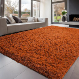 Ameha Area Rugs Living Room Large 160X230 Cm Rust Rugs For Bedroom Dinning Room Super Soft Non Slip Rug Modern Carpets For Bedside - thumbnail 4