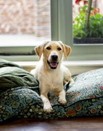 Morris & Co Blackthorn Print Dog Mattress Bed - thumbnail 1