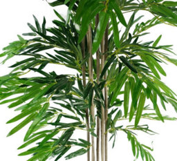 Leaf 180Cm (6Ft) Artificial Bamboo Plants Trees - Natural Green Xl - thumbnail 3