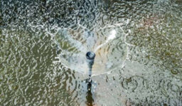 Primrose Solar Powered Water Fountain Pump Kit With Led Lights 300Lph - thumbnail 2