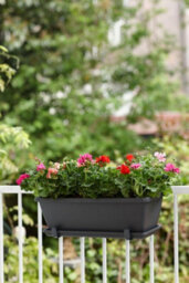 Elho Barcelona Trough Saucer 50 - Saucer For Balcony & Outdoor - 45.0 X H 2.8 Cm - Anthracite - thumbnail 4