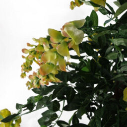 Leaf 120Cm Artificial Yellow Wisteria Tree - thumbnail 3