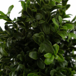 Leaf 120Cm Spiral Boxwood Artificial Tree Uv Resistant Outdoor - thumbnail 2