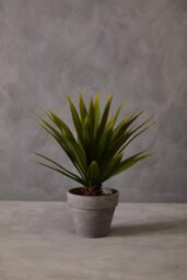 Orsina Fiori Agave Succulent Artificial Plant Foliage - thumbnail 3