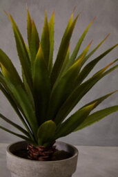 Orsina Fiori Agave Succulent Artificial Plant Foliage - thumbnail 4
